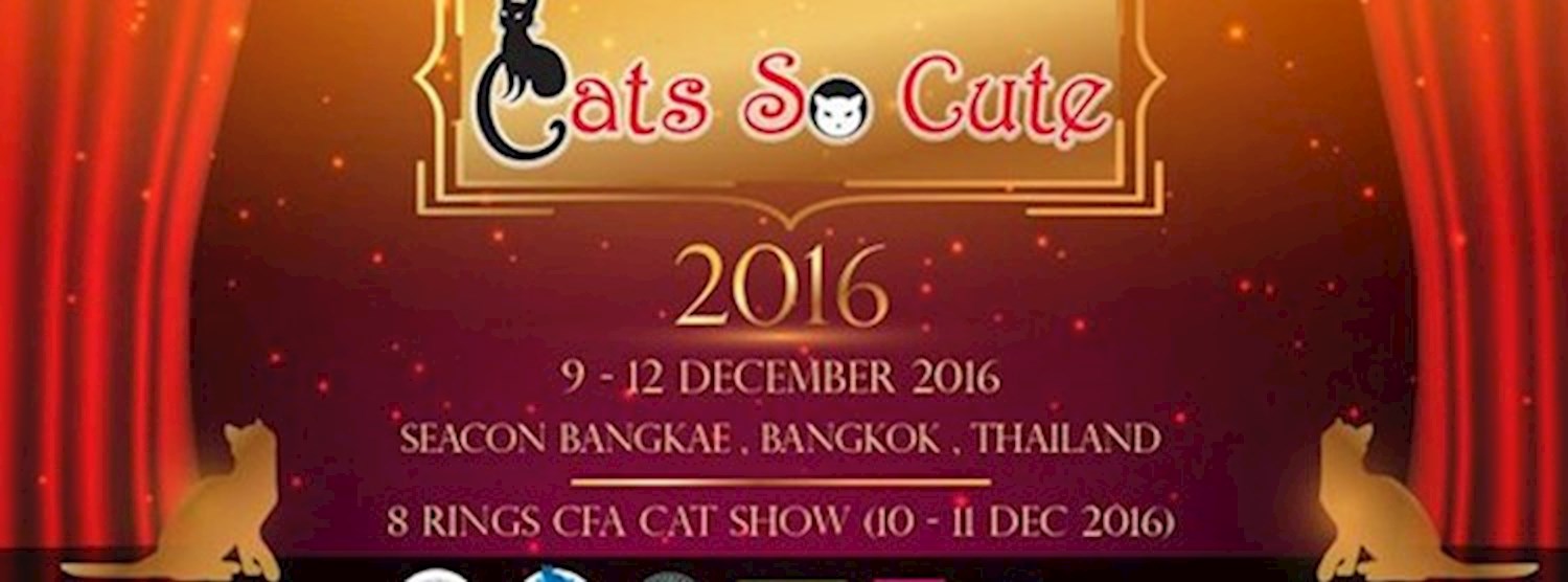 Cats So Cute 2016 Zipevent