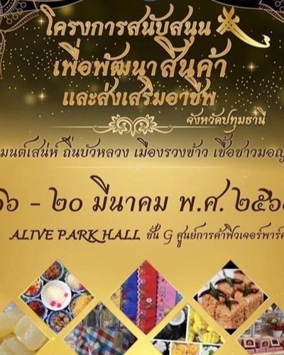 โครงการสนับสนุนเพื่อพัฒนาสินค้าและส่งเสริมอาชีพ Zipevent