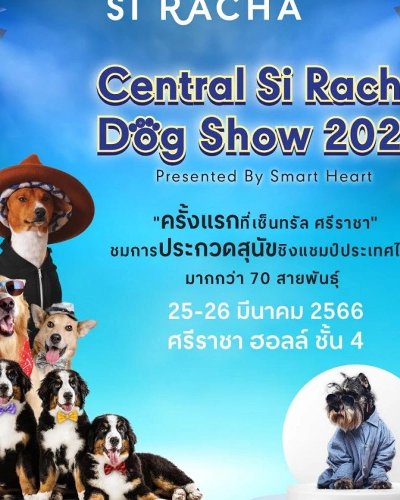 Central Si Racha Dog Show 2023 Zipevent