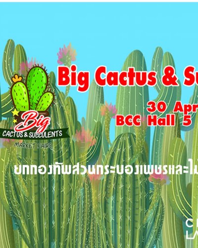 Big Cactus & Succulents Market Fairs ครั้งที่ 8 Zipevent