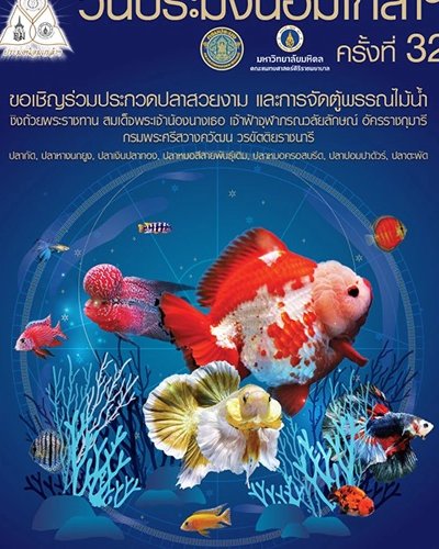 วันประมงน้อมเกล้า ครั้งที่ 32 Zipevent