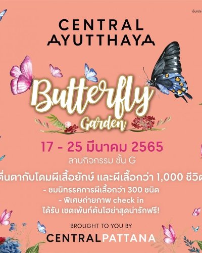 Butterfly Garden Zipevent