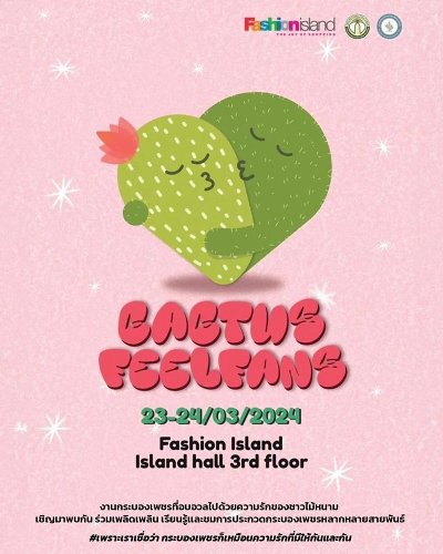 เเคคตัสฟีลเเฟน Cactus Feel Fans Zipevent