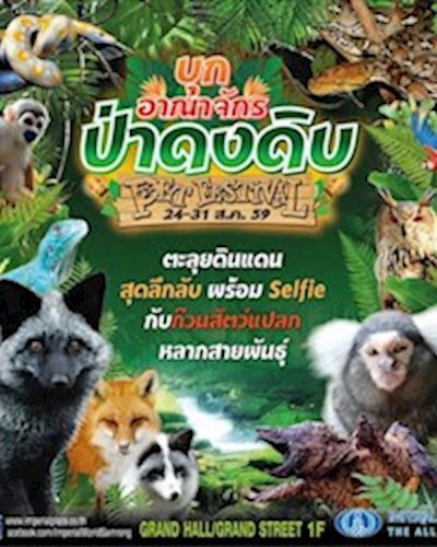 บุกอาณาจักรป่าดงดิบ Pet Festival Zipevent