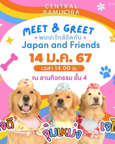 Meet & Greet Japan and friends Zipevent