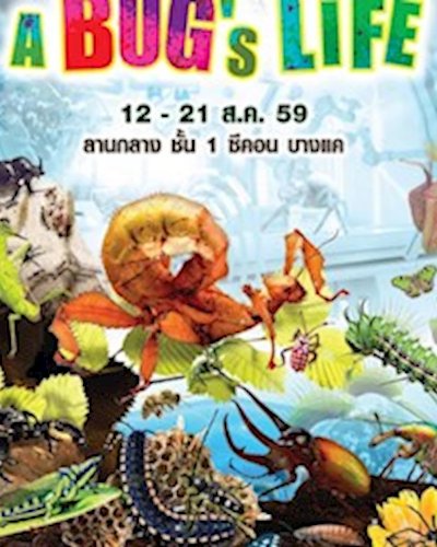A Bug’s Life Zipevent