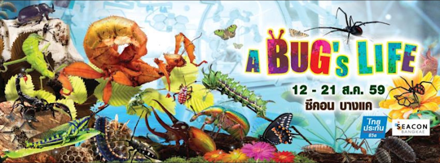 A Bug’s Life Zipevent