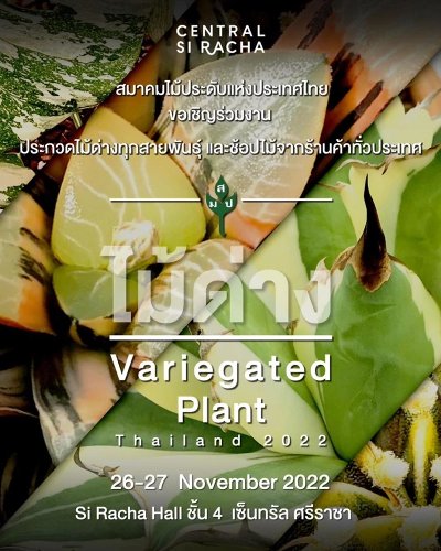 Thailand Variegated Plants Market Fair 2022 Zipevent