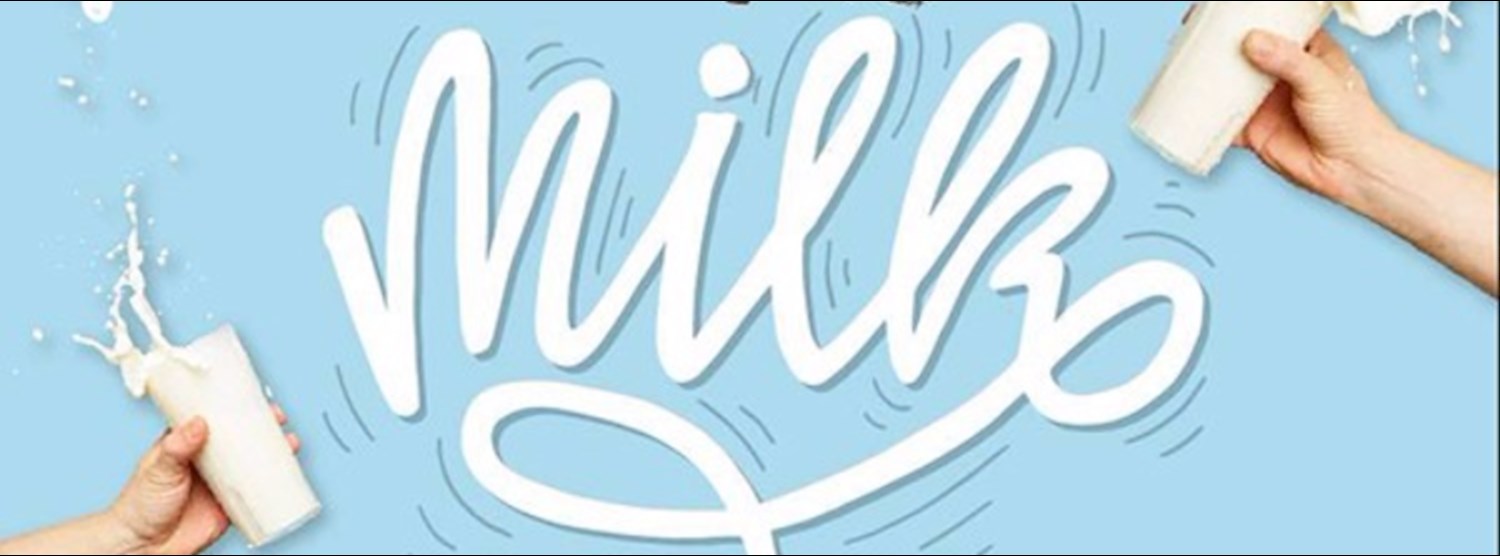 Milk and Toast Market ครั้งที่ 2 Zipevent