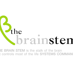 ก้านสมอง Zipevent